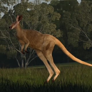 RENESIS