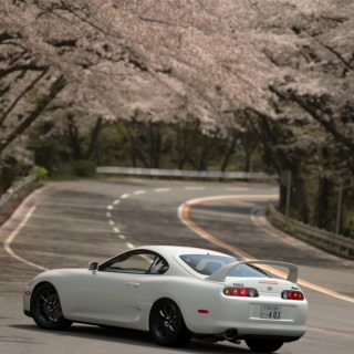ogk_0403