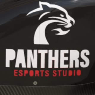Panthers 03