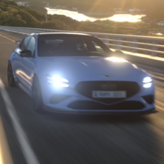 -0161-GT
