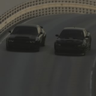 فهد