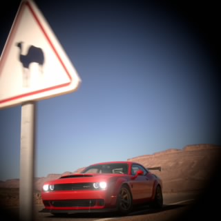 Nigwer