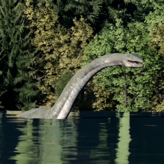 Inxcetus