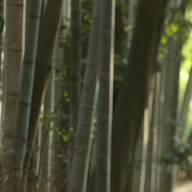 かす地蔵