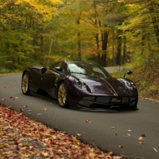 Pagani Prince