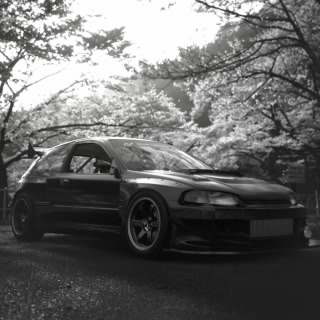 SHADOWracer¹