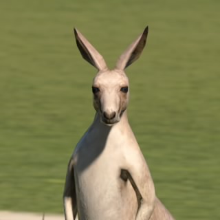 (DVNT) Roo