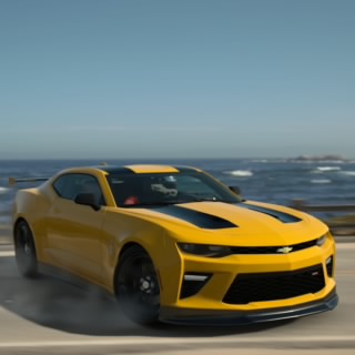 Spider_on72
