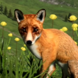 しょうきち