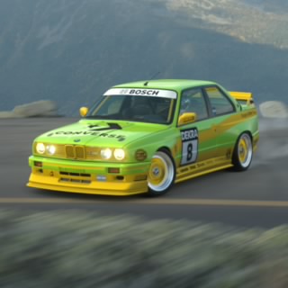 BRA08