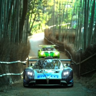 Ayanocun