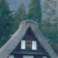 DiggsAsura