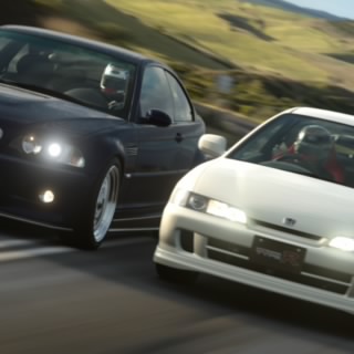 The Stig