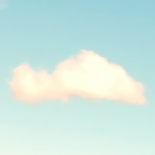 しろねこ｜White Cat