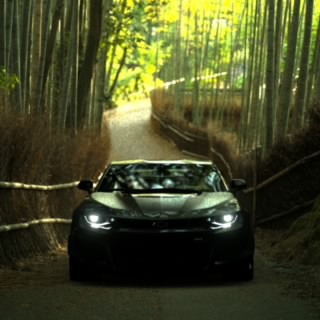 guigui_SNG4