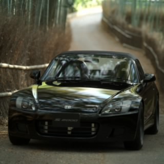 DP-AP1