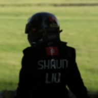 S. Liu