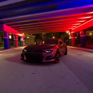 MadPat295