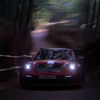 lupo21