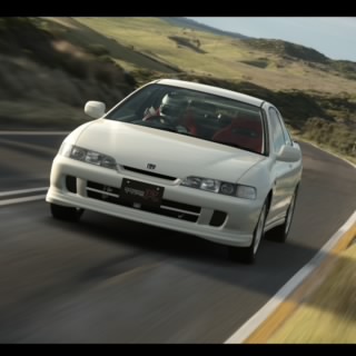 Guepardeex674
