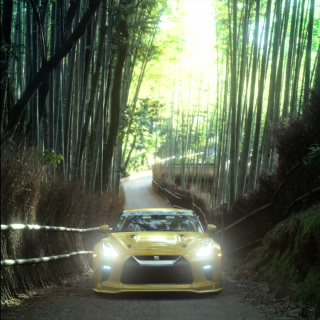 Gzz9Rice