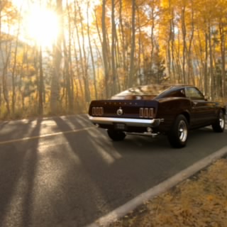 Shelby