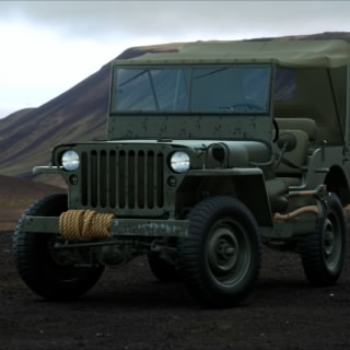 WILLY-61