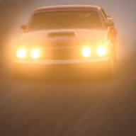 Torana