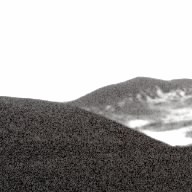 oTapeworm