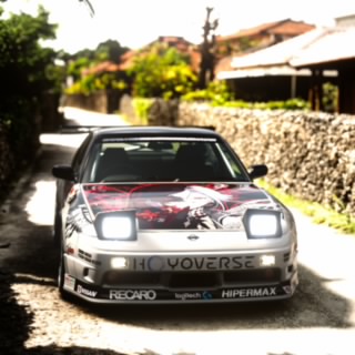 vic vos