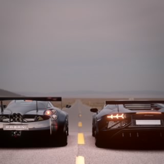 The D1ddl3r