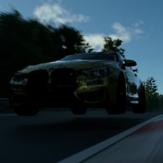 A1DANF1