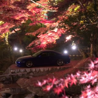 MrShane458