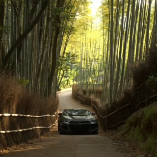 ボッサリーノ