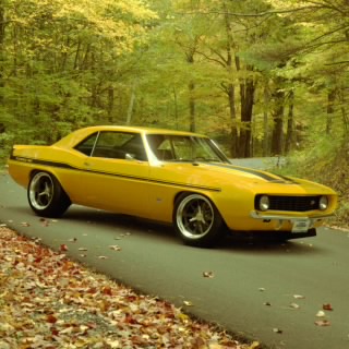 Bullitt#3673
