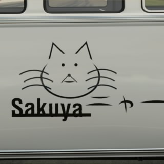 野良猫Racing