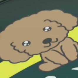 toypoodle