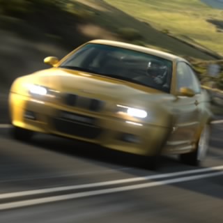 Pal85