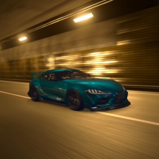 Fin