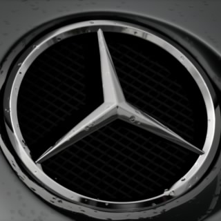 STIG