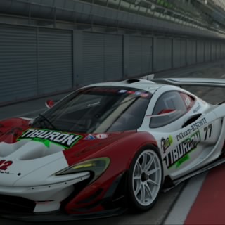 DCTeam-Bisonte