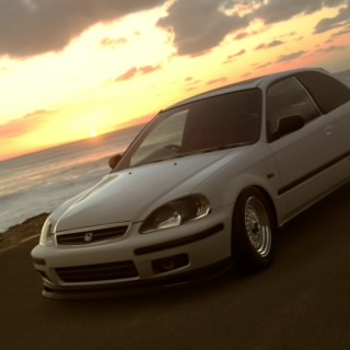 Tapout954