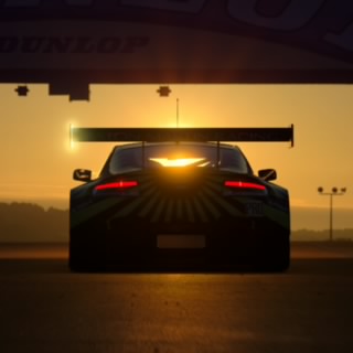 TamiasMarmotini