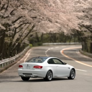 ばばっち
