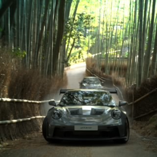 WSX
