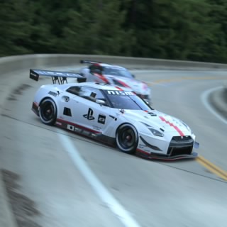 The stig