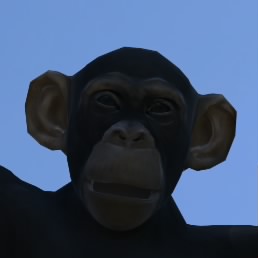 AMFpvz