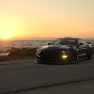 vleon8112