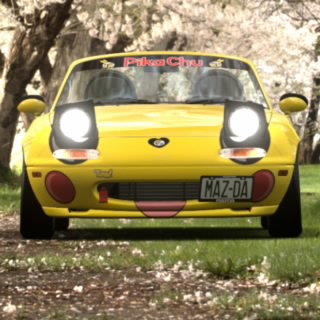 TheCrazyCarLady