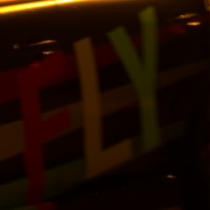 FLY